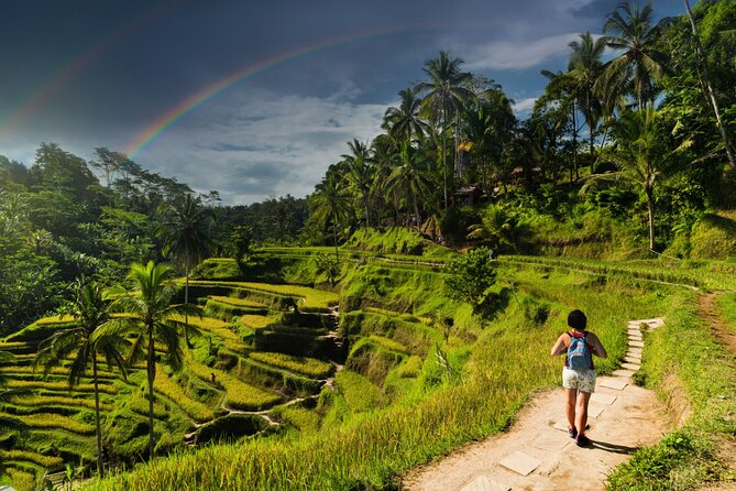 Ubud Private Tour: Monkey Forest - Tirta Empul Temple - Goa Gajah (Elephant Cave): cave relics and ancient bathing pools