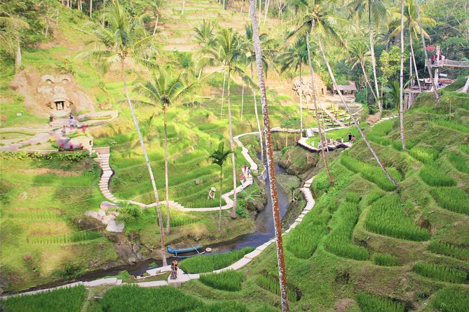 Ubud Private Tour : Ubud Temple and Authentic of Ubud - Tegalalang Rice Terrace: The Subak Irrigation System Behind the Views