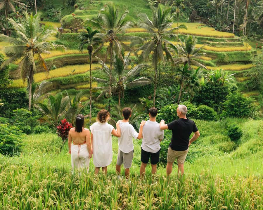 Ubud: Private Tour with Professional Photographer - Pickup, Private Transport, and the Pace That Matters