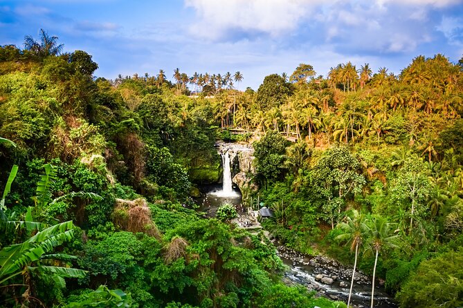 Ubud private tours - Stop 2: Goa Raja Waterfall and the Forest Walk to the Pool