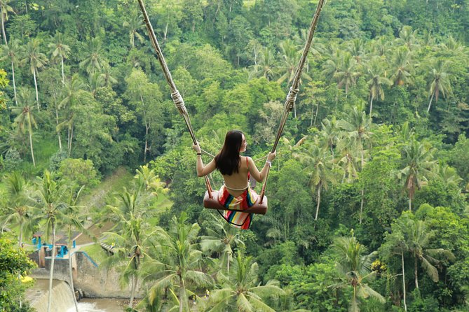 Ubud Private Tours with Jungle Swing Experience - all inclusive - Price and value: what $60 covers (and why it can be a good deal)