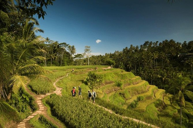 Ubud Rafting - Rice Terrace - Tegenungan Waterfall - Tanah Lot Sunset Temple - Ayung River rafting: medium rapids, big scenery, real effort