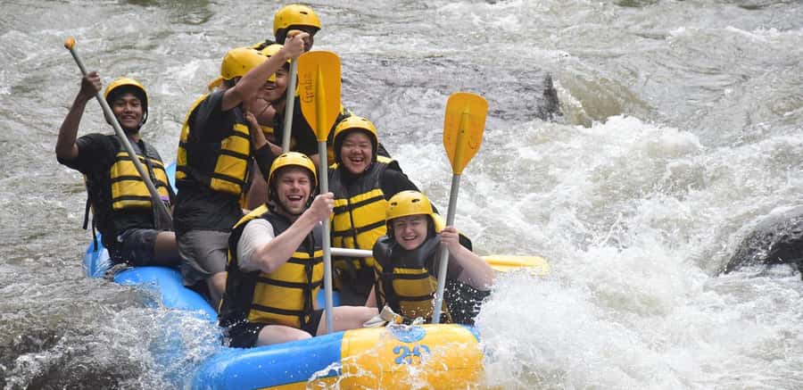 Ubud Rafting with Hotel Transfers and Lunch - What You’ll See: Waterfalls, Rock Carvings, Rice Fields, and Forest