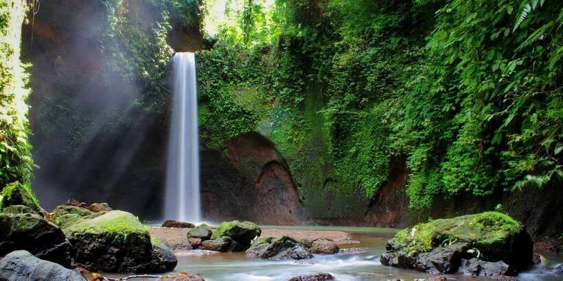 Ubud: Rice Terrace, Holy Water Temple & Waterfalls Trek Tour - Price and Value at Around $33: What You’re Paying For