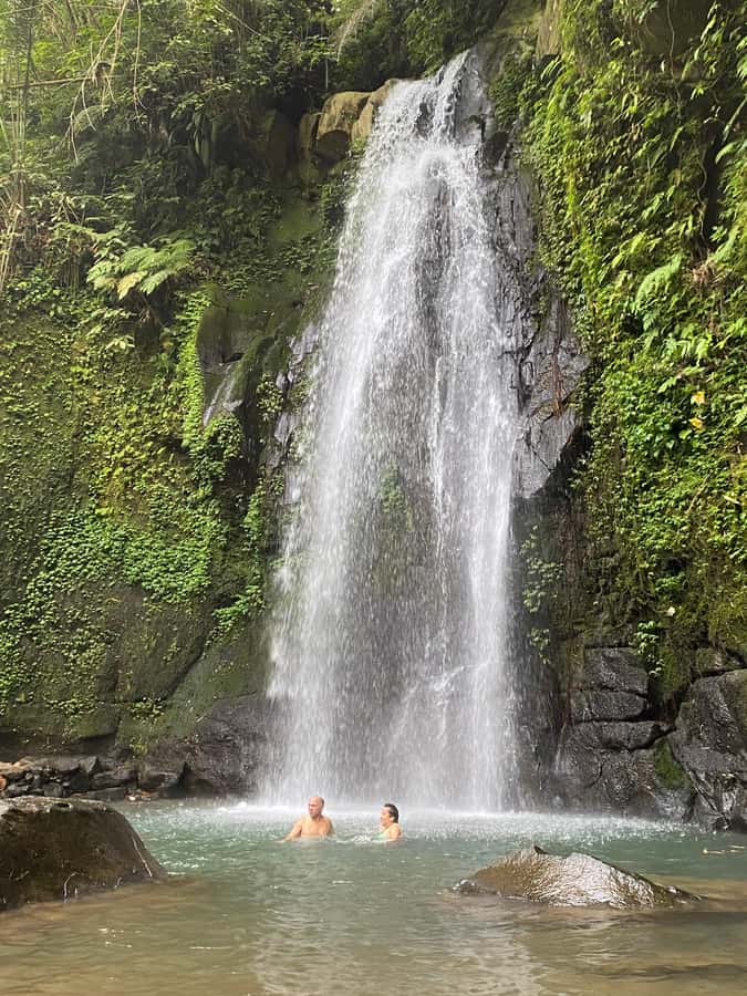 Ubud: Rice Terrace, Monkey Forest, Temple, & Waterfall - Key Points You’ll Care About