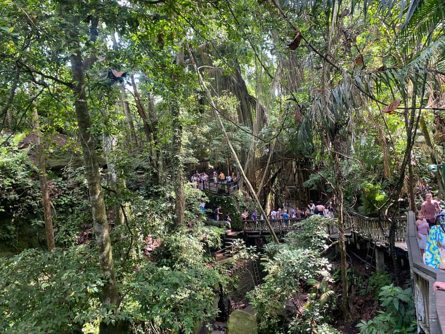 Ubud: Rice Terrace, Monkey Forest, Temple, & Waterfall - Private Guide Energy: What Makes This Tour Feel Personal