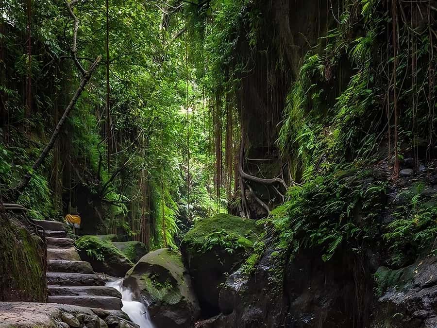 Ubud: Rice Terrace, Monkey Forest, Temple, & Waterfall - Ubud in a Single Day: Why This Route Works