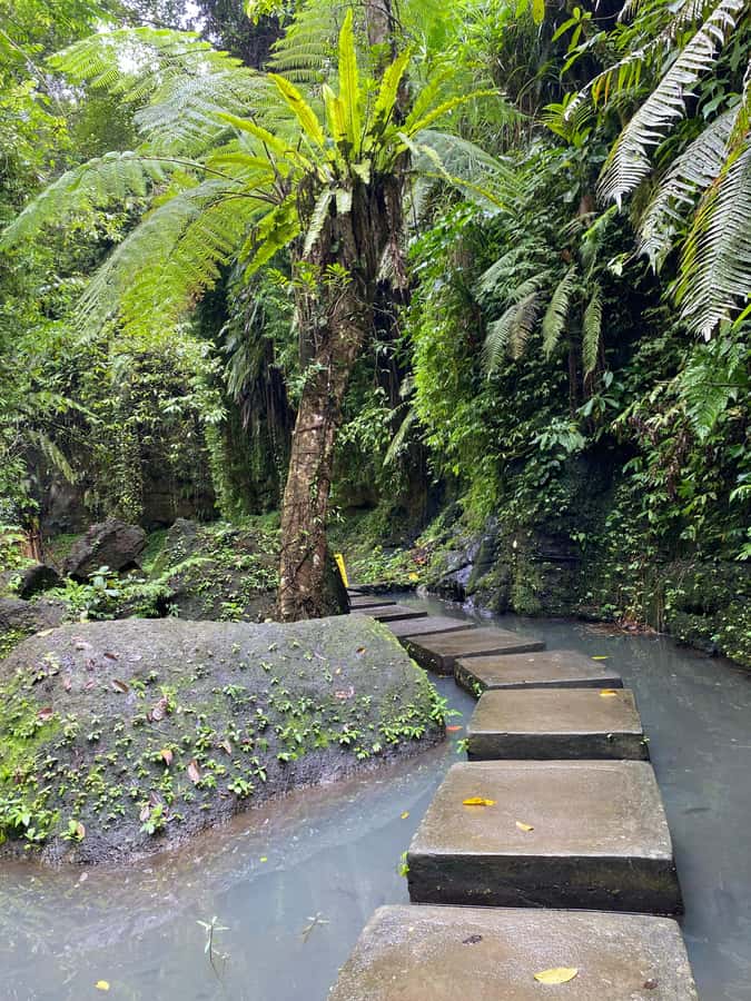 Ubud: Rice Terrace, Monkey Forest, Temple, & Waterfall - Pickup, Timing, and How to Handle a 9–10 Hour Day