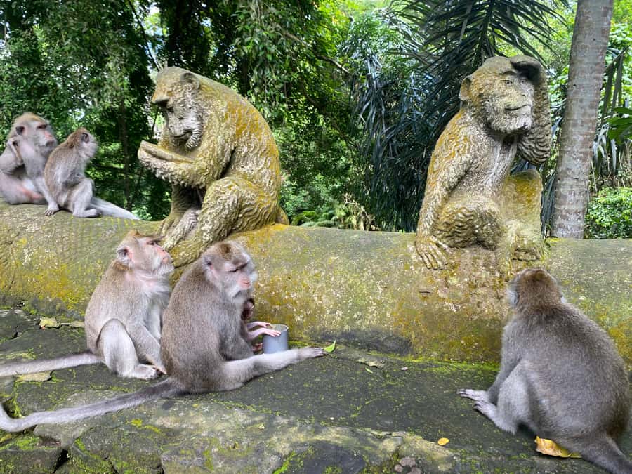 Ubud: Rice Terrace, Monkey Forest, Temple, & Waterfall - Tirta Empul Water Temple: The Cultural Stop You’ll Remember