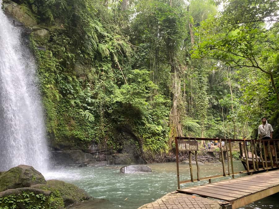 Ubud: Rice Terrace, Monkey Forest, Temple, & Waterfall - Coffee Plantation Break: Tea, Coffee, and a Useful Reset