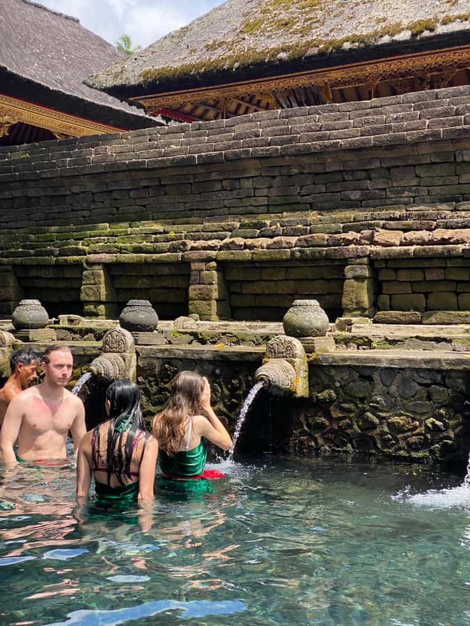 Ubud: Rice Terrace, Monkey Forest, Temple, & Waterfall - Sacred Monkey Forest Sanctuary: Fun, Fast, and Don’t Be That Person