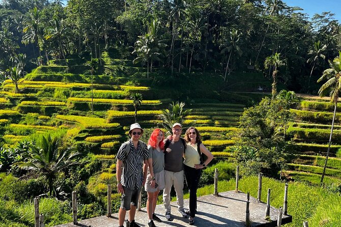 Ubud : Rice Terrace, water Temple and Waterfalls Private tour - Price, value, and the logistics that matter