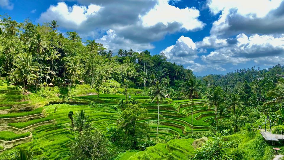 Ubud rice terrace, waterfall, and temple guided trip Bali - Key things to know before you go