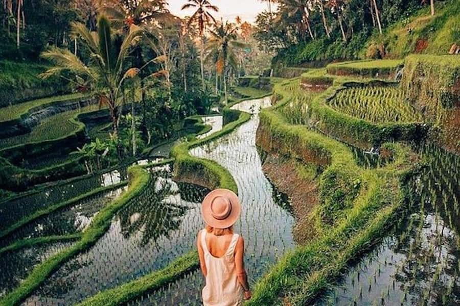 Ubud: Rice Terrace, Waterfall, & Elephant Cave - Elephant Cave (Goa Gajah): Boma, cliff-side ruins, and a slower pace