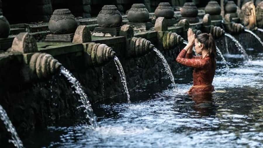 Ubud: Rice Terrace, Waterfall, & Elephant Cave - Tirta Empul at Tampaksiring: why this temple stop hits different