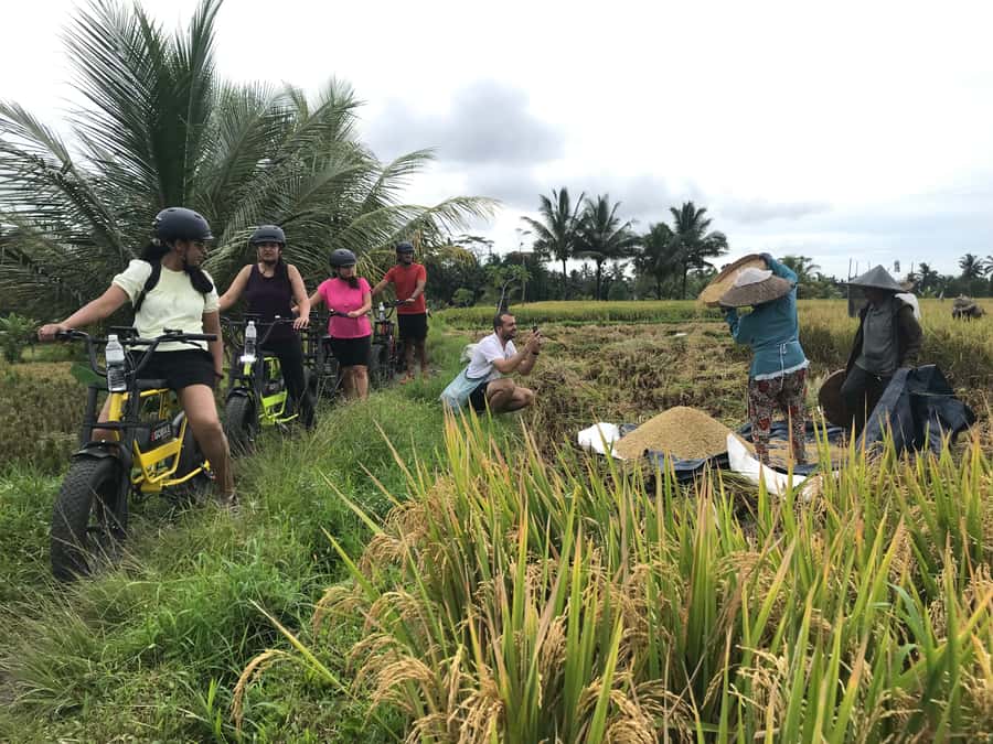 Ubud: Rice Terraces & Villages Half-Day Fat Tire E-Bike Tour - Key things that make this tour worth your time