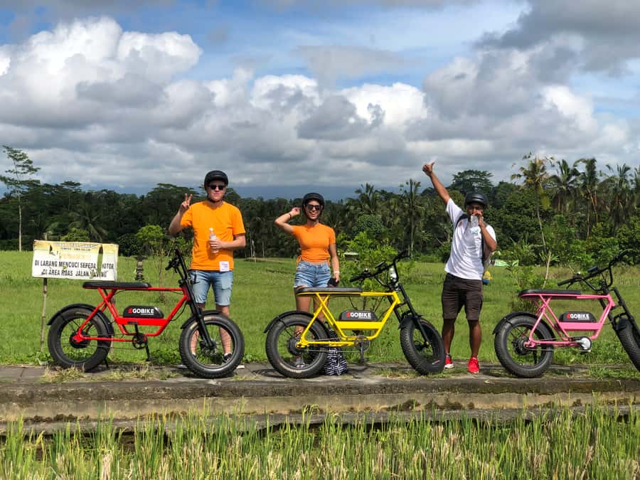 Ubud: Rice Terraces & Villages Half-Day Fat Tire E-Bike Tour - Who This Tour Fits Best (and Who Should Skip It)