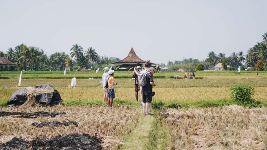 Ubud: Rice Terraces & Villages Half-Day Fat Tire E-Bike Tour - Getting Oriented in Ubud: Pickup, Transfer, and the Fat-Tire E-Bikes