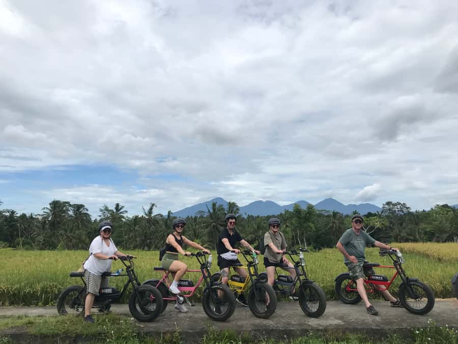 Ubud: Rice Terraces & Villages Half-Day Fat Tire E-Bike Tour - Tegalalang Village Time: Learn Local Life, Then Get Photos With Context