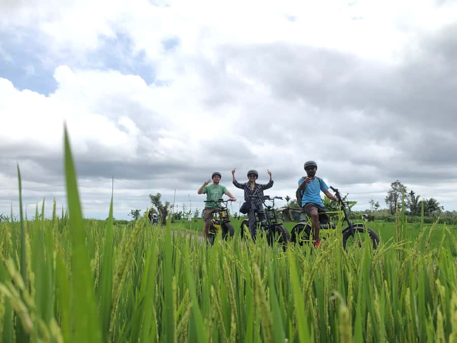 Ubud: Rice Terraces & Villages Half-Day Fat Tire E-Bike Tour - Cekingan Rice Terrace and the Subak System: The UNESCO Piece That Actually Matters