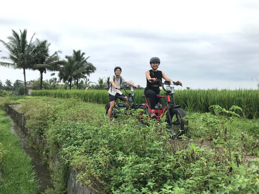 Ubud: Rice Terraces & Villages Half-Day Fat Tire E-Bike Tour - The Ubud Lunch Stop: A Balinese Meal That Finishes the Morning Right