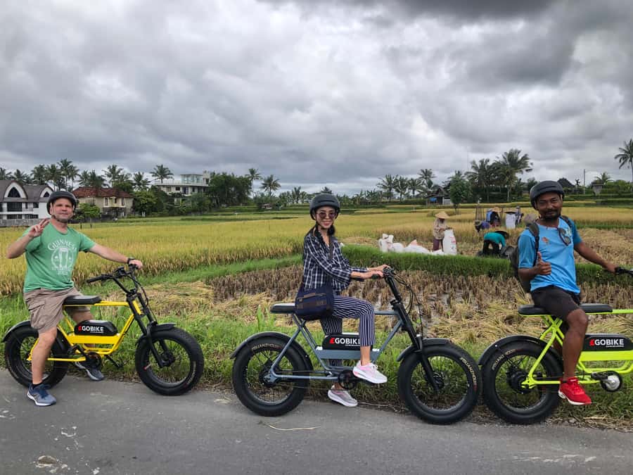 Ubud: Rice Terraces & Villages Half-Day Fat Tire E-Bike Tour - Timing: Why This Half-Day Format Works in Bali