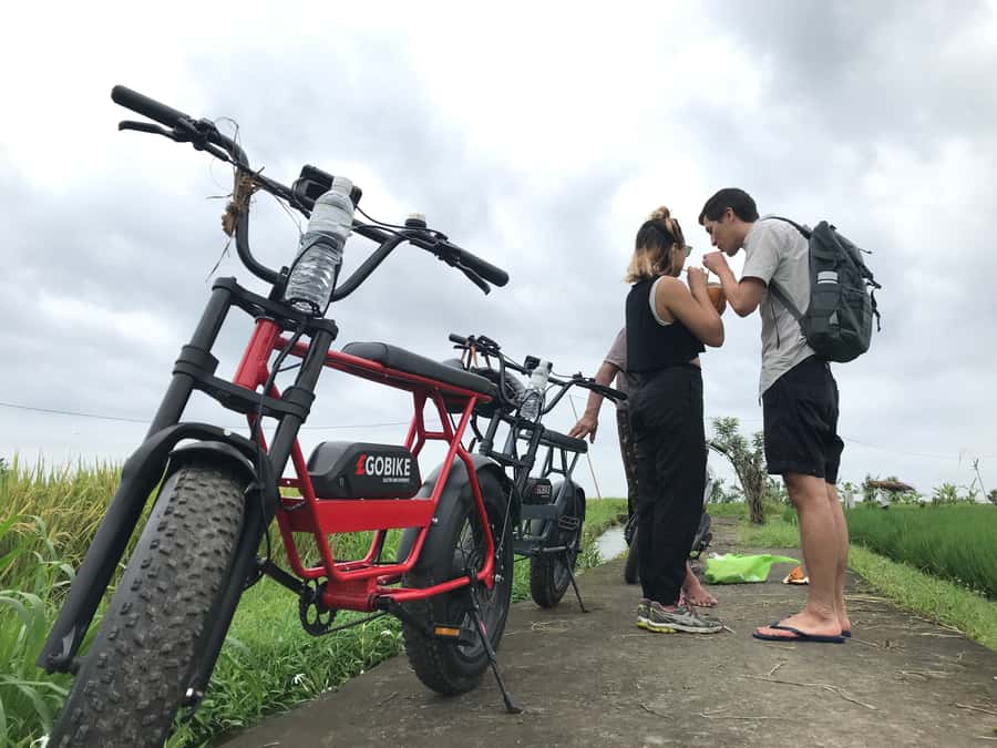 Ubud: Rice Terraces & Villages Half-Day Fat Tire E-Bike Tour - Price and Value: What $33 Buys You (and Why It Feels Fair)