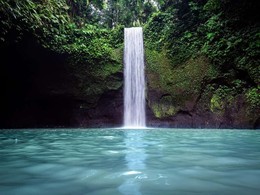 Ubud: Rice Terraces, Water Temple, & Waterfalls Private Tour - Key highlights you’ll feel on the day
