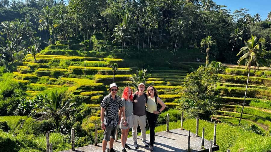 Ubud: Rice Terraces, Water Temple, & Waterfalls Private Tour - Tibumana Waterfall: a 20-meter drop and a 30-minute cool-off