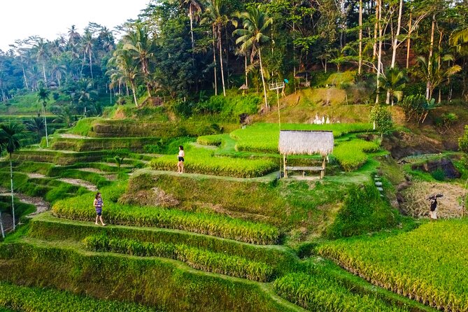 Ubud Rice terrace,Zip-line and waterfall - Tibumana Waterfall: an hour that’s worth planning for