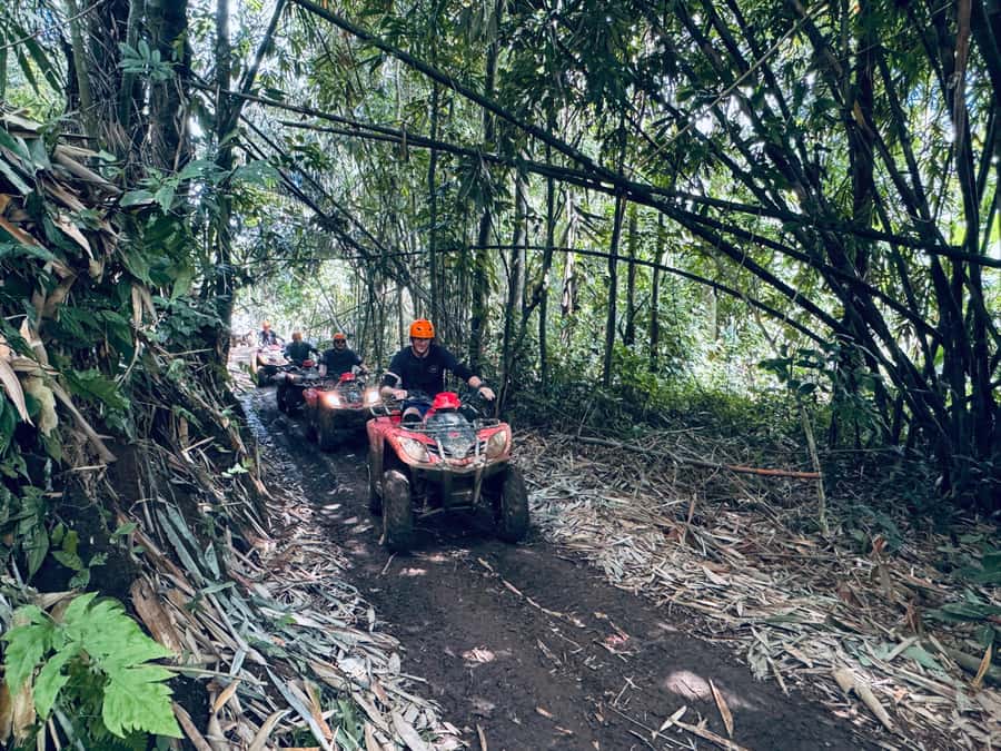 Ubud: River Cave Tubing Adventure & Gorilla ATV Quad Bike - Lunch, drinks, and the real value of this combo
