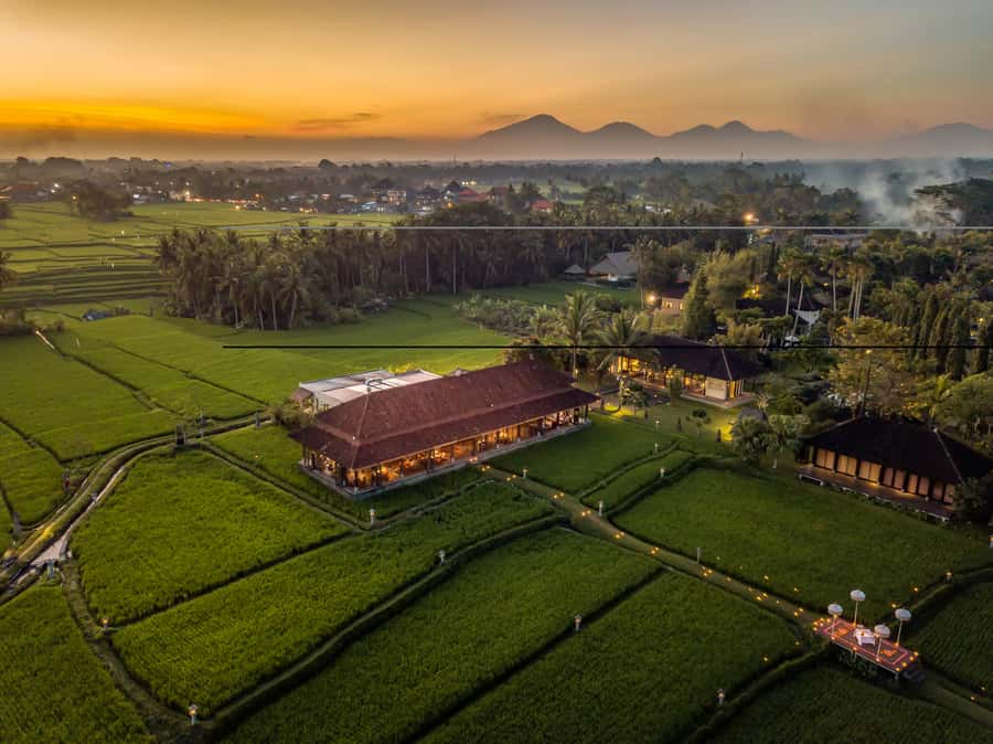 Ubud: Romantic Dinner among the Rice Fields - Key things to know before you go