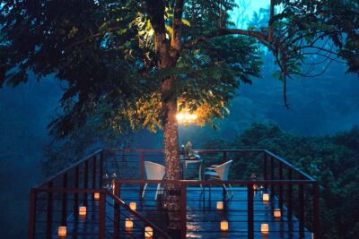 Ubud: Romantic Dinner on a Forest Tree Deck - The 3-hour rhythm: pickup, deck time, and six courses