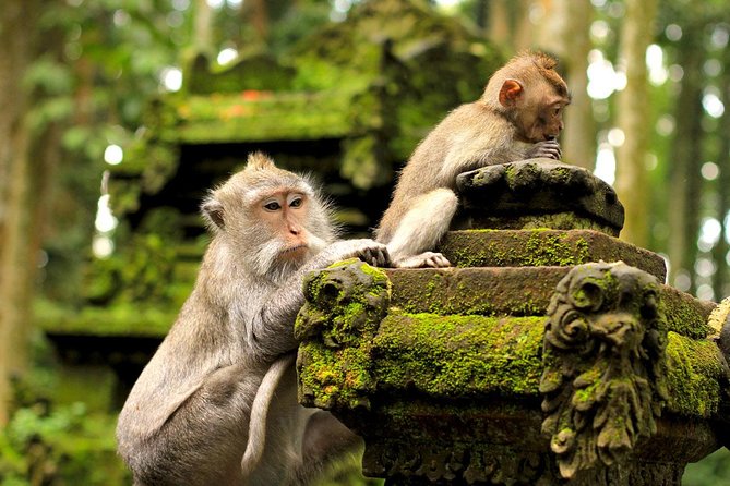 Ubud Sacred Monkey Forest & Art Village Tour - Sacred Monkey Forest Sanctuary: Temples, Statues, and Photo Opportunities