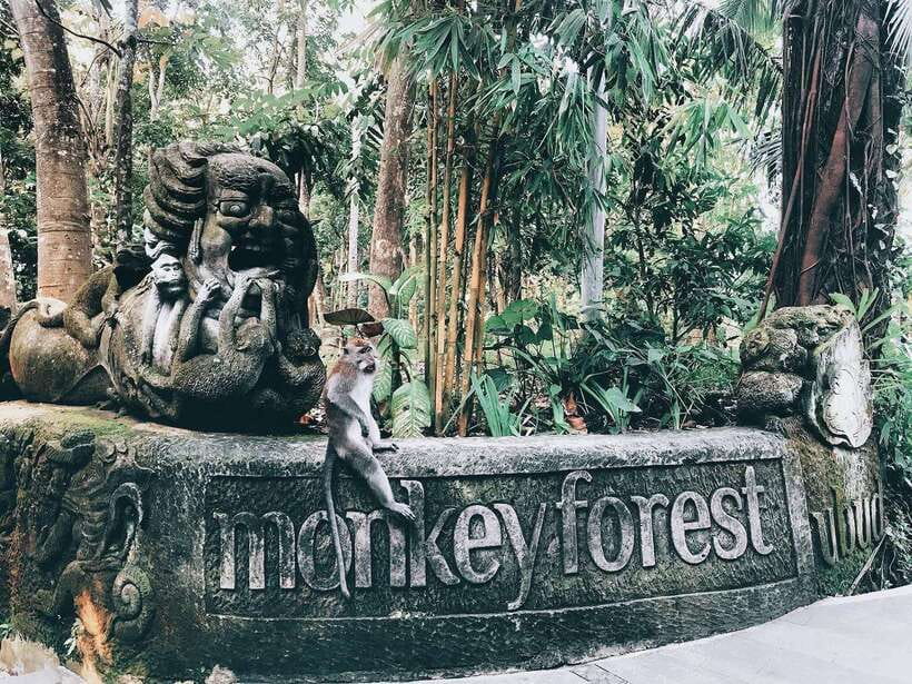 Ubud: Sacred Monkey Forest, Barong Cave ATV & Waterfall Tour - Guides and pacing: why Juan and Alitt matter