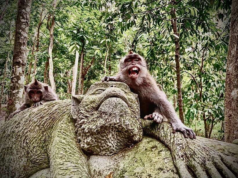 Ubud: Sacred Monkey Forest & Barong Cave ATV with Meal - The ATV Ride: Fun, Terrain, and How to Prepare