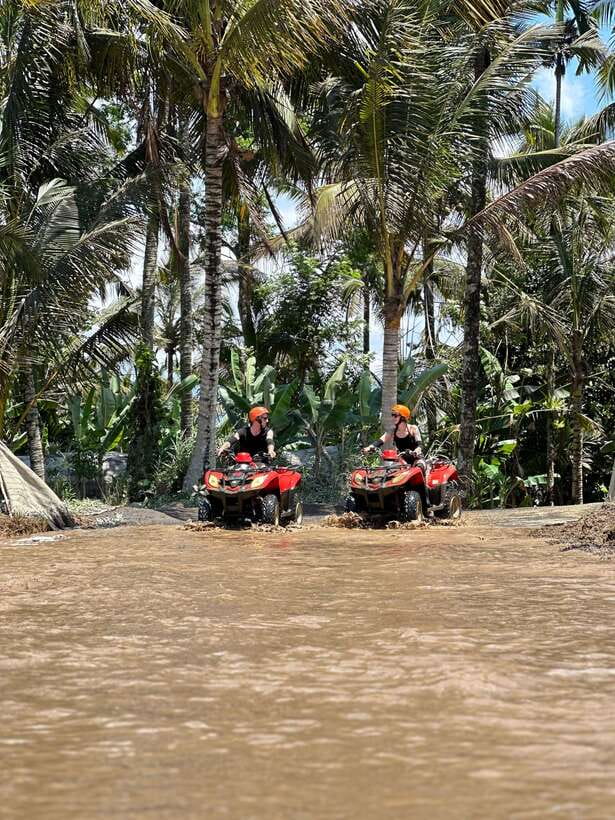 Ubud: Sacred Monkey Forest & Barong Cave ATV with Meal - Who This Tour Fits Best