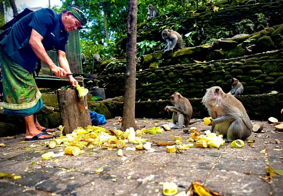 Ubud: Sacred Monkey Forest Sanctuary Ticket and Guided Tour - Add-ons that actually change your day (coffee, swing, zipline, massage, lunch)