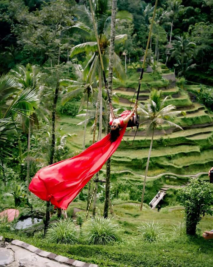 Ubud: Secret Waterfalls, Jungle Swing Private Tour - Value and Price: Is $32 a Good Deal?