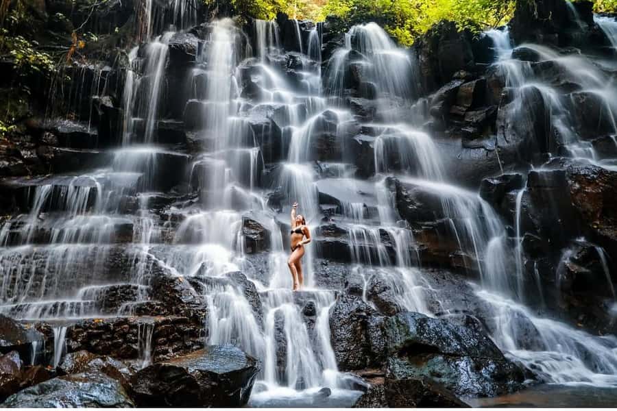 Ubud: Semi-Customized Private Tour with Live Guide - Key highlights at a glance