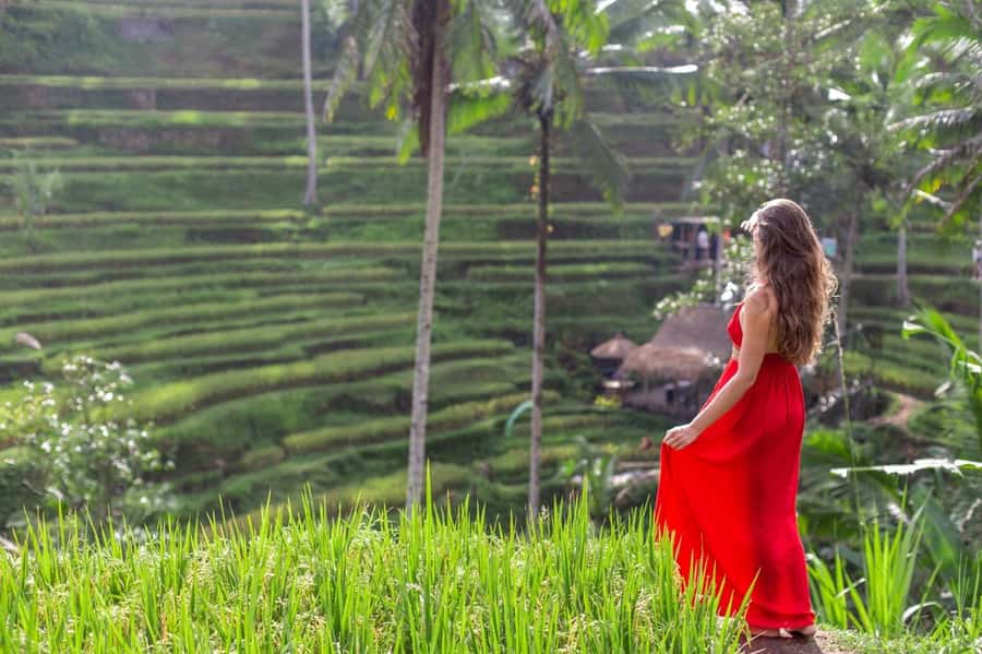 Ubud: Semi-Customized Private Tour with Live Guide - Ubud Monkey Forest: the classic stop with real etiquette