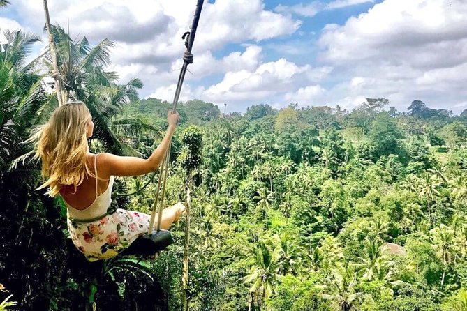 Ubud Sightseeing, Holy Water Temple & Waterfall - How this Ubud tour works (and why it’s good value for a first-timer)