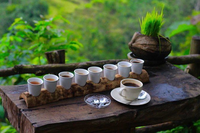 Ubud Sightseeing, Holy Water Temple & Waterfall - Tirta Empul Temple in Tampak Siring: what ritual cleansing means for your visit