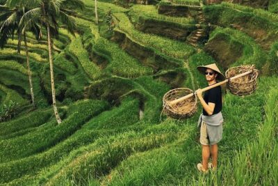 Ubud Sightseeing, Holy Water Temple & Waterfall - Tegenungan Waterfall: a classic view with a one-hour rhythm
