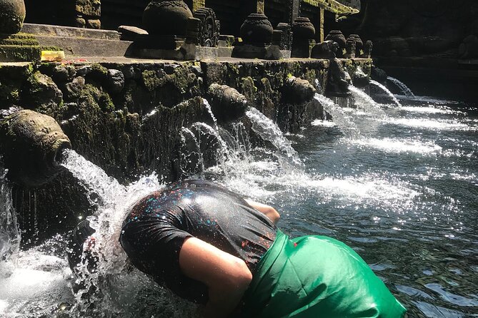 Ubud Sightseeing, Holy Water Temple & Waterfall - Kumulilir coffee and tea tasting plus the jungle swing photo moment