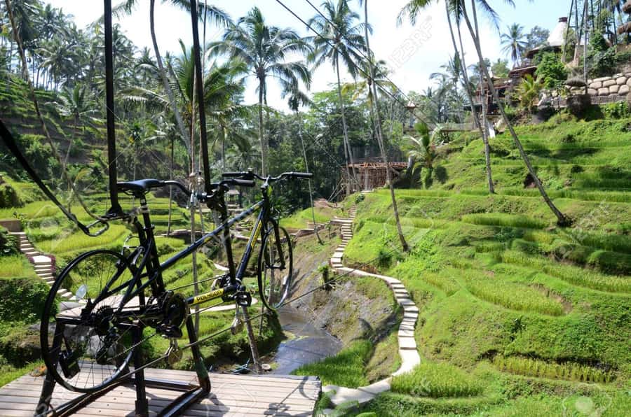 Ubud: Sky Bike Adventure, Swing & Rice Terrace with Transfer - Key Points to Know Before You Go