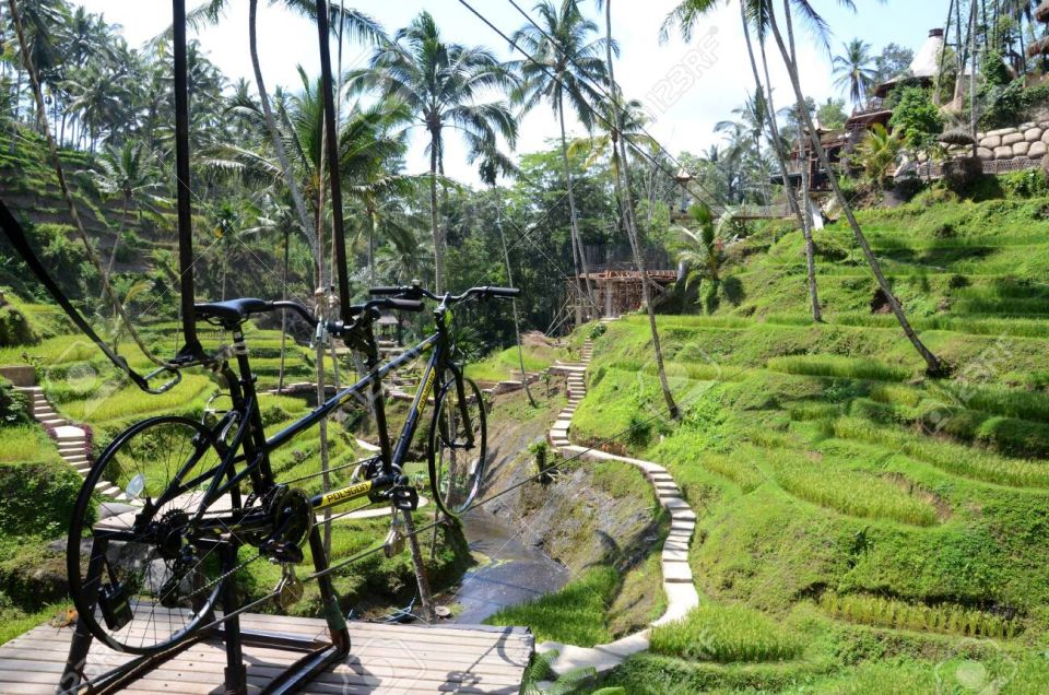 Ubud: Sky Bike Adventure, Swing & Rice Terrace with Transfer - Guide Support and Languages: What You Should Expect