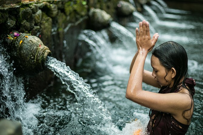 Ubud Small Group Tour: Monkey Forest, Tegalalang Rice Terraces and more - Monkey Forest sanctuary: how to handle the monkeys (and your camera)