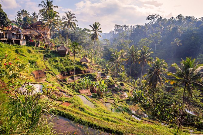 Ubud Small Group Tour: Monkey Forest, Tegalalang Rice Terraces and more - Tirta Empul Temple: the holy spring experience and what to look for