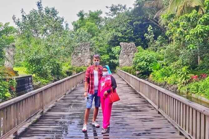 Ubud Small Group Tour: Monkey Forest, Tegalalang Rice Terraces and more - Transport, timing, and the reality of Bali traffic
